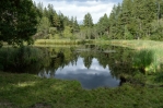 Jezero Lanser Moor jižně od Innsbrucku