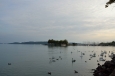 Balaton při Balatonfüredu