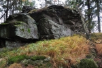 Vrcholek Dřevěné hole (1 206 m n. m.).