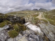 Národní park Rondane, potok poblíž jezera Rondvatnet, Norsko