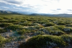 Národní park Rondane při parkovišti Spranghaugen, Norsko