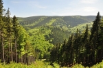 Lesy se na chvilku rozestoupily, aby odhalily pohled do údolí Stříbrného potoka.