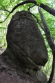 Usměvavá hlava zkamenělého plesiosaura je jedním z mnoha podivuhodných skulptur.