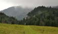 Planina nad Prosieckou dolinou se táhne až k Velké Borové. Tudy se vracíme z celodenního krásného okruhu.