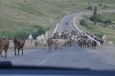 Jermuk a okolí, Arménie