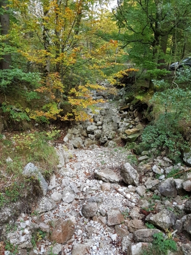 Říčka Lainaubach nejsou po vodě ani stopy.