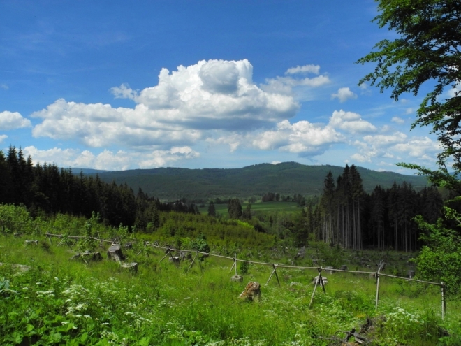 Krokodýl nad Jeleními vrchy.