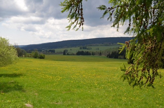 Pohled přes Paseckou slať k Přilbě.