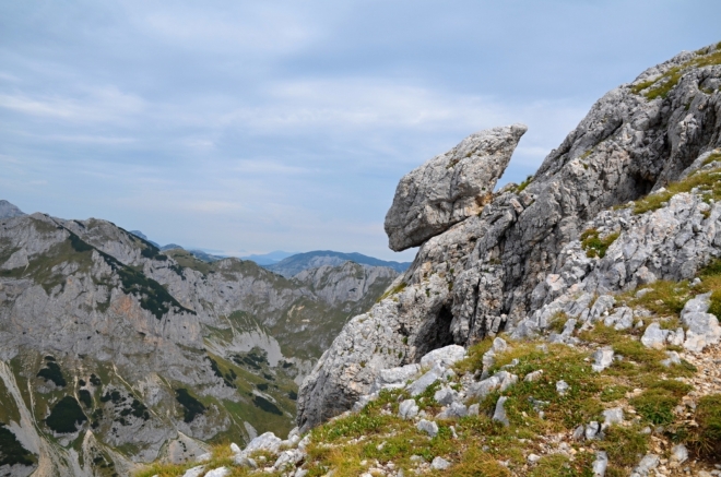 Vetřelec Savina kuku.