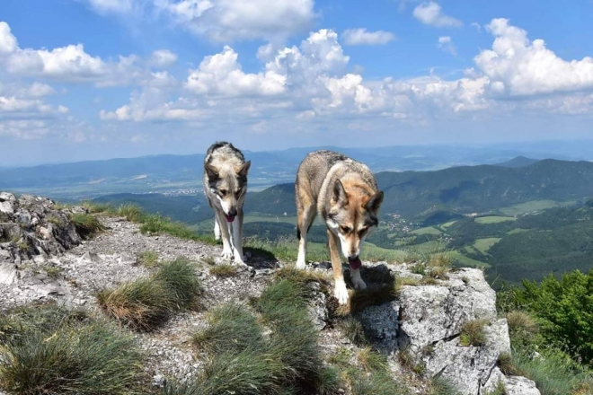 Vápeč.