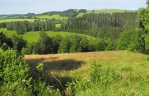 Kostel sv. Jana Nepomuckého v Bartošovicích. 