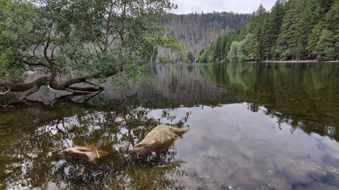 Černé jezero... 