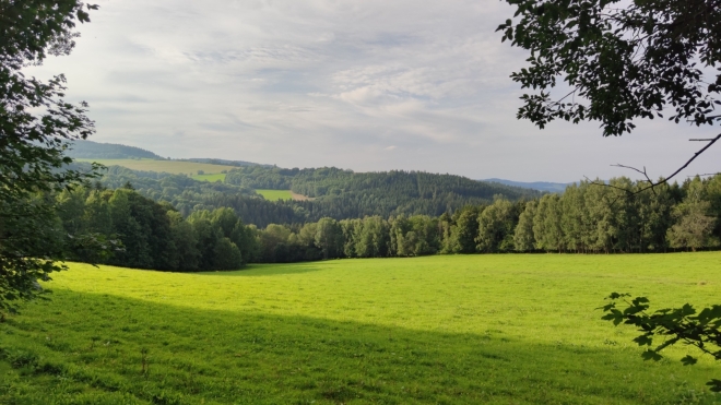 Pekelské údolí u potoka Volšovka. 