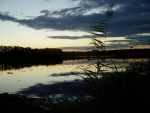 Zlivský rybník (Horný) je začleněn do oblasti Natura 2000 - Českobudějovické rybníky.