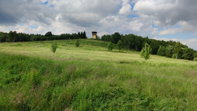 Pozorovací věž u Třebovic. 