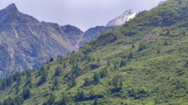 Monte Presanella čerstvě zasněžená. 