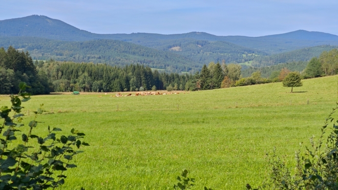 Bobík a Boubín.