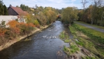 Moravská Dyje ve Weikertschlagu an der Thaya.