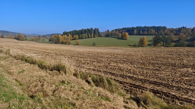 Kopce, pastviny, pole, louky, krajina Českomoravské vrchoviny...